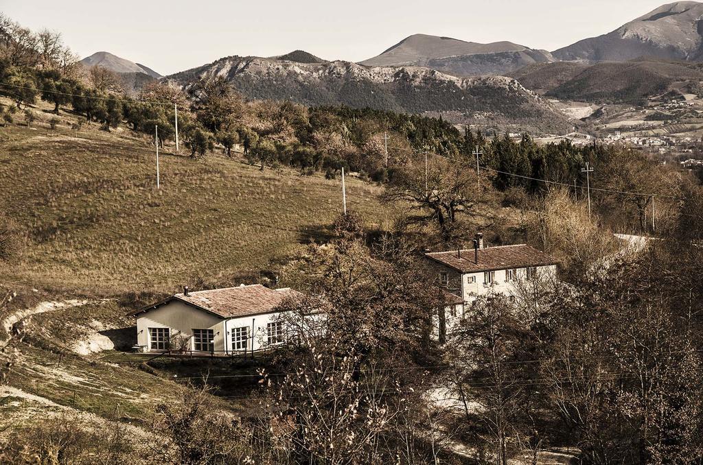 古比奥 Agriturismo L'Oca Blu酒店 外观 照片