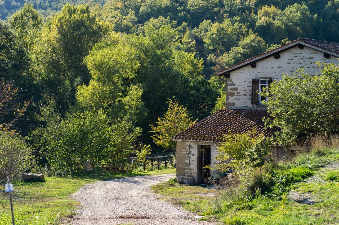 古比奥 Agriturismo L'Oca Blu酒店 外观 照片